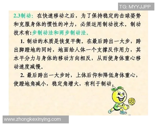 上海排球队整体压制战术解析与实战应用探讨 上海排球队整体压制战术解析与实战应用探讨