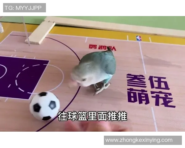 模仿足球明星搞笑恶搞路人瞬间引发围观笑声不断